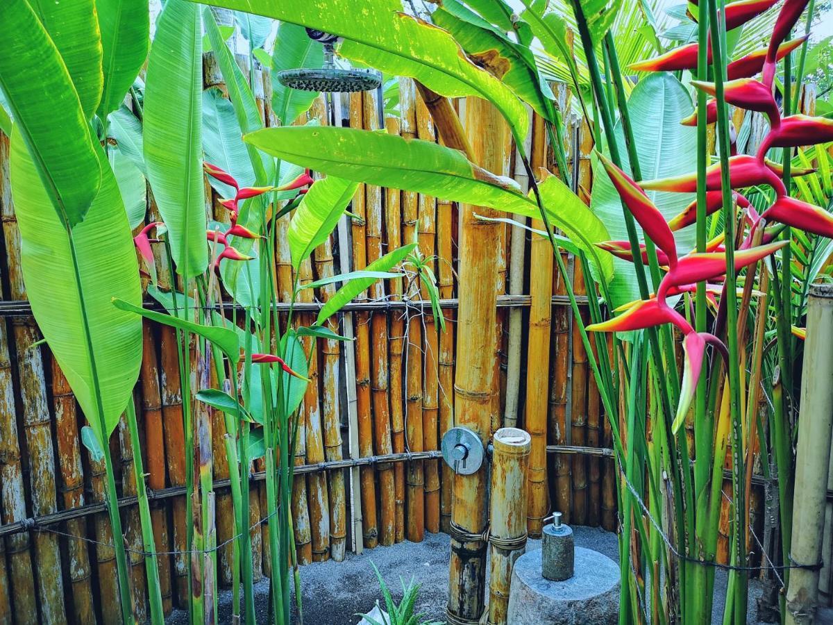 Resort Coconut Garden 3*