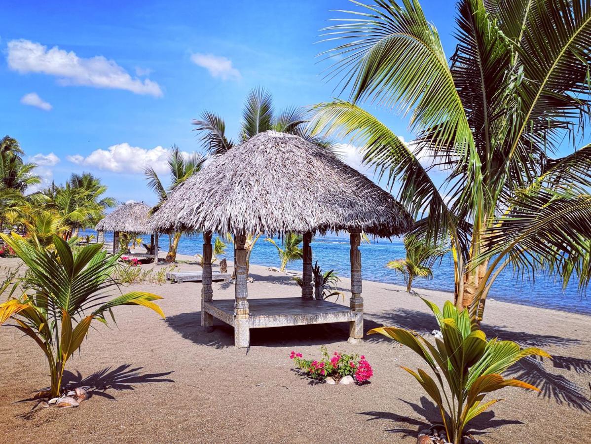 Coconut Garden 3* Maumere