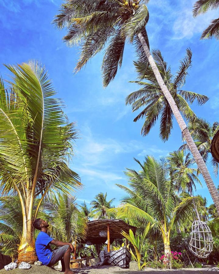 Coconut Garden 3* Maumere