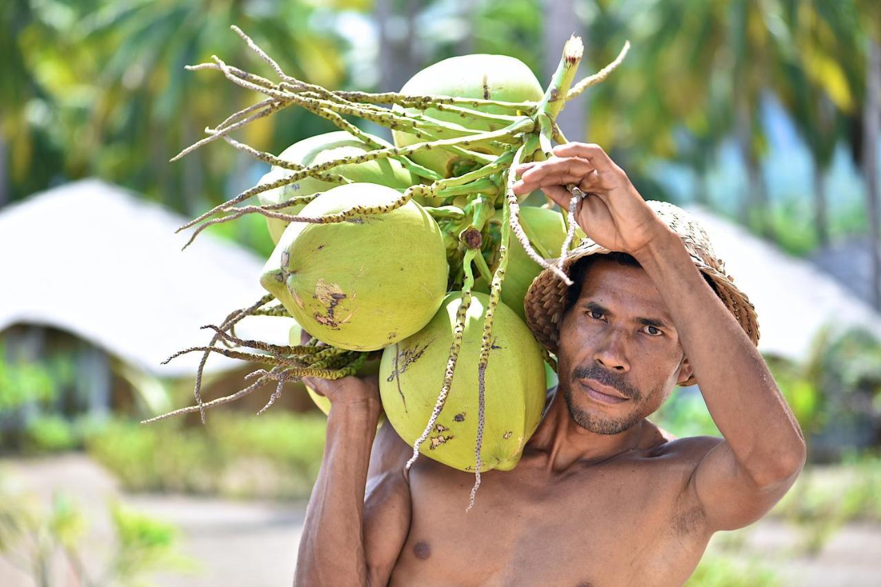 Coconut Garden 3* Maumere