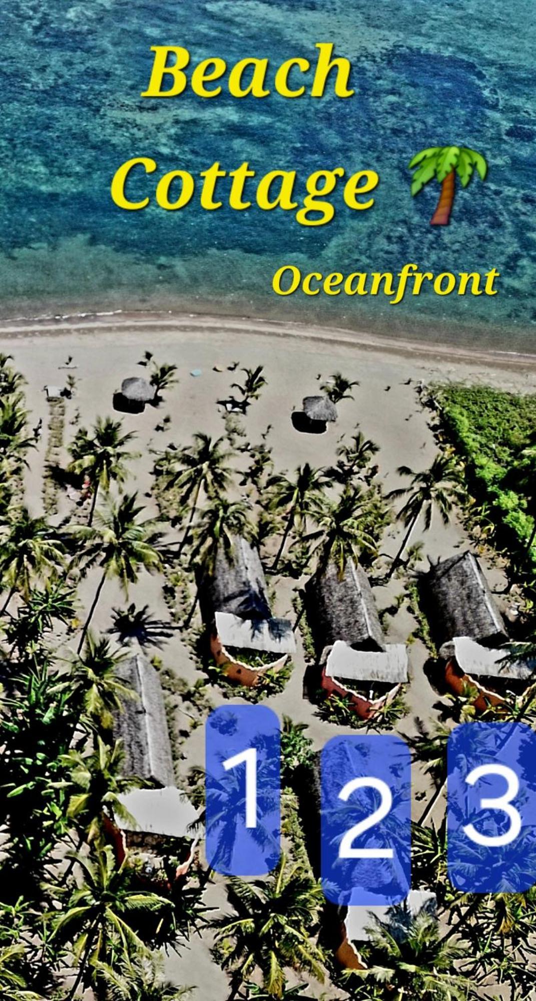 Coconut Garden 3*