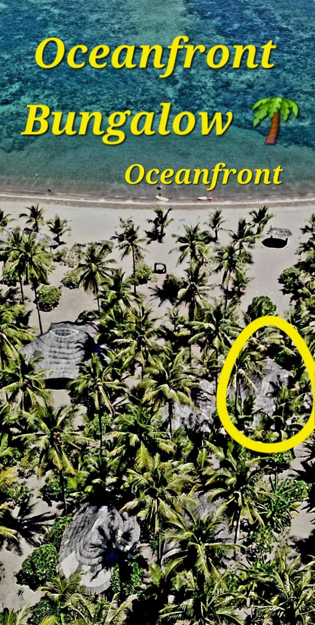 Coconut Garden