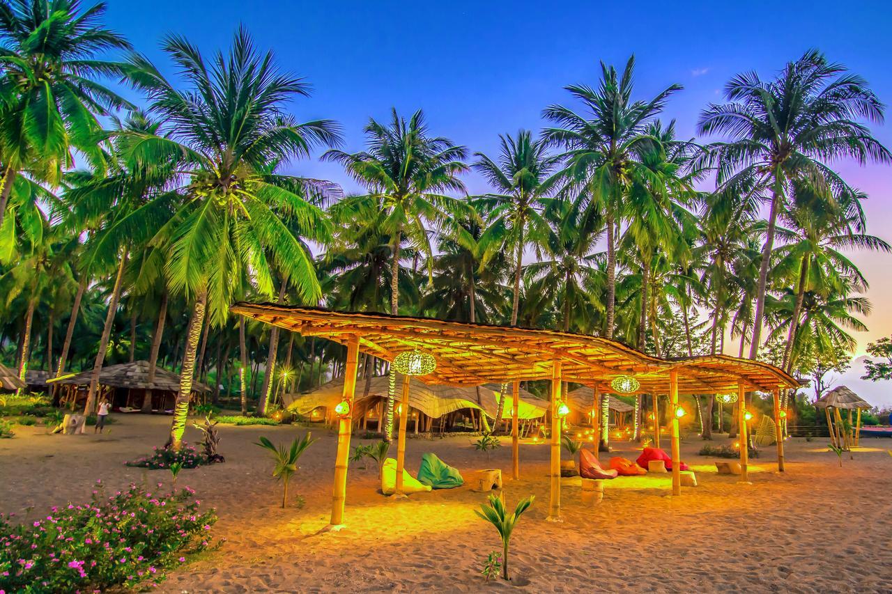 Coconut Garden