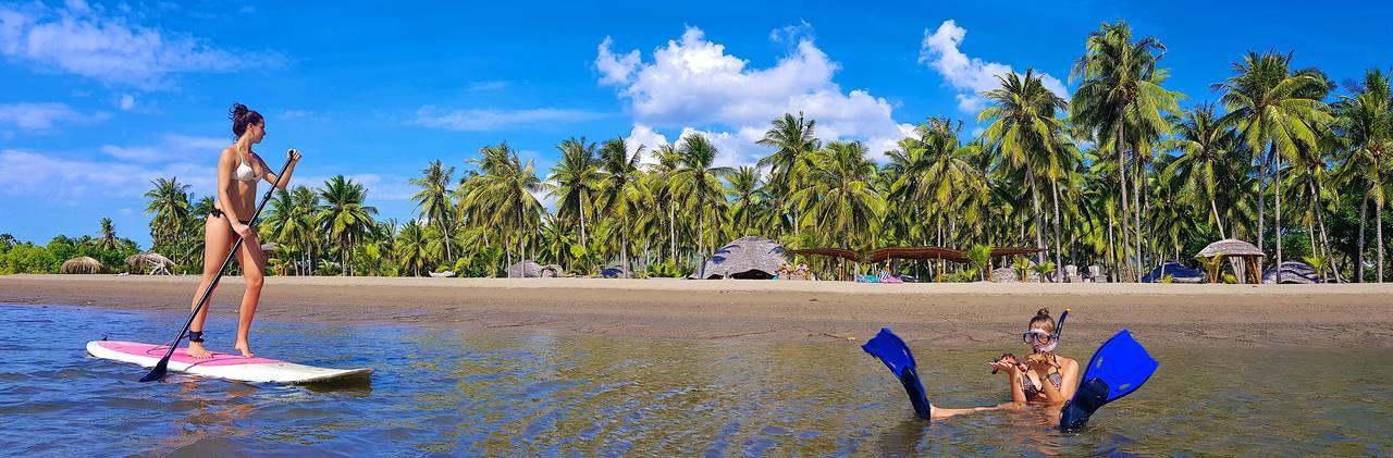 Coconut Garden Maumere