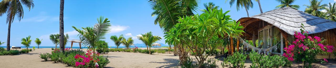 Coconut Garden